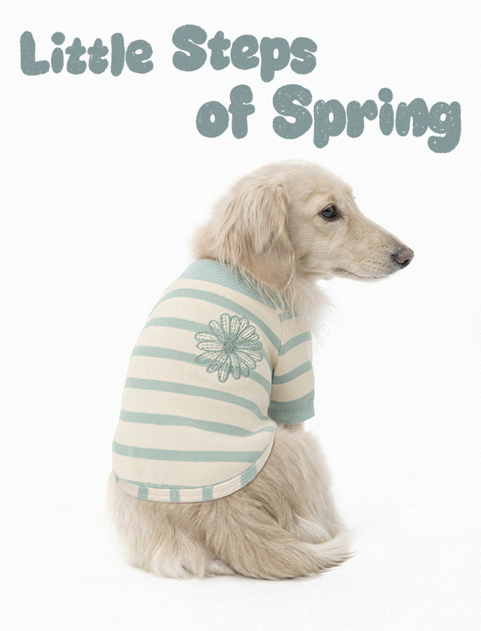 Little Steps of Spring