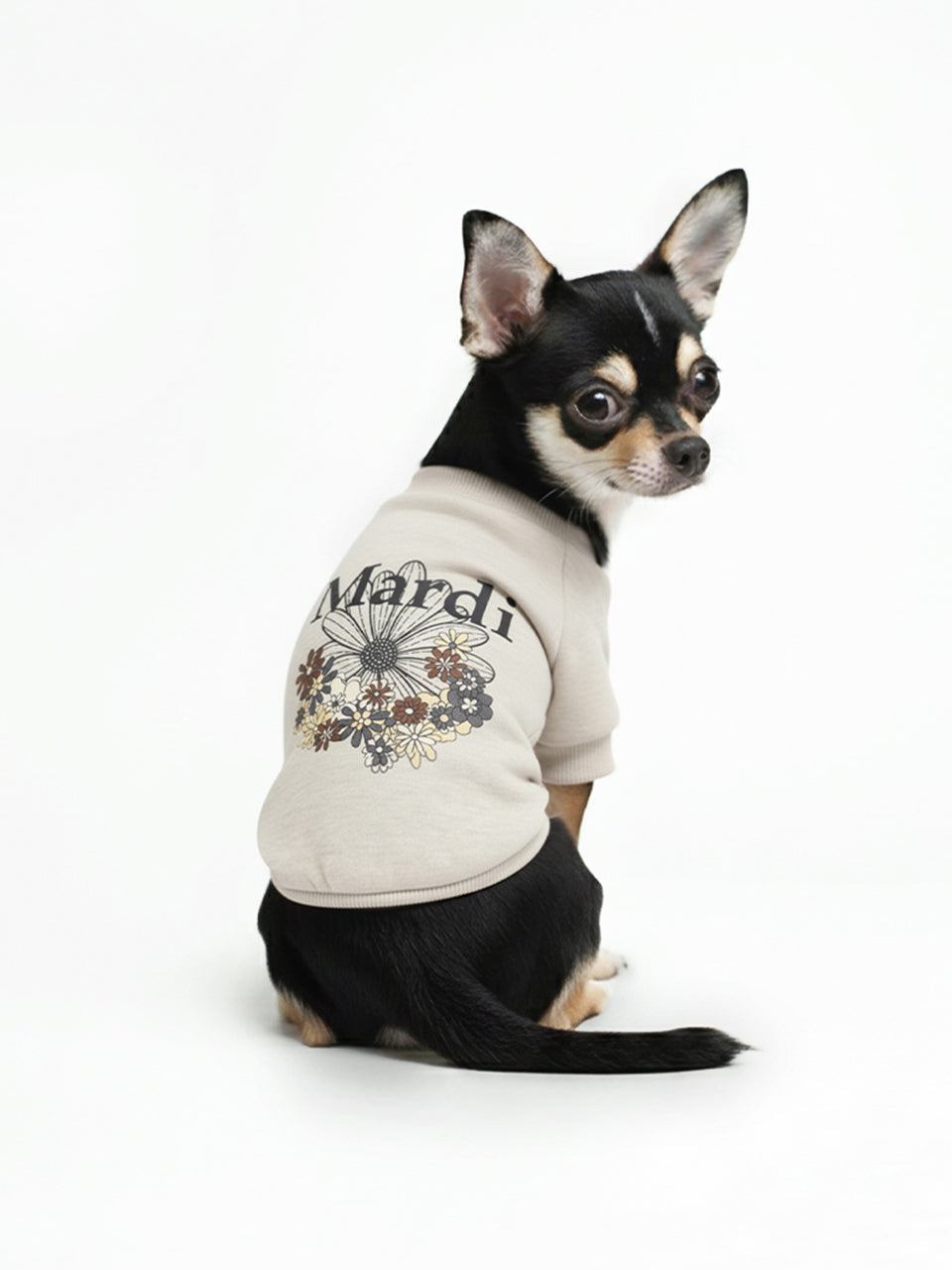 PET SWEATSHIRT FLOWERMARDI JARDIN_OATMEAL BLACK