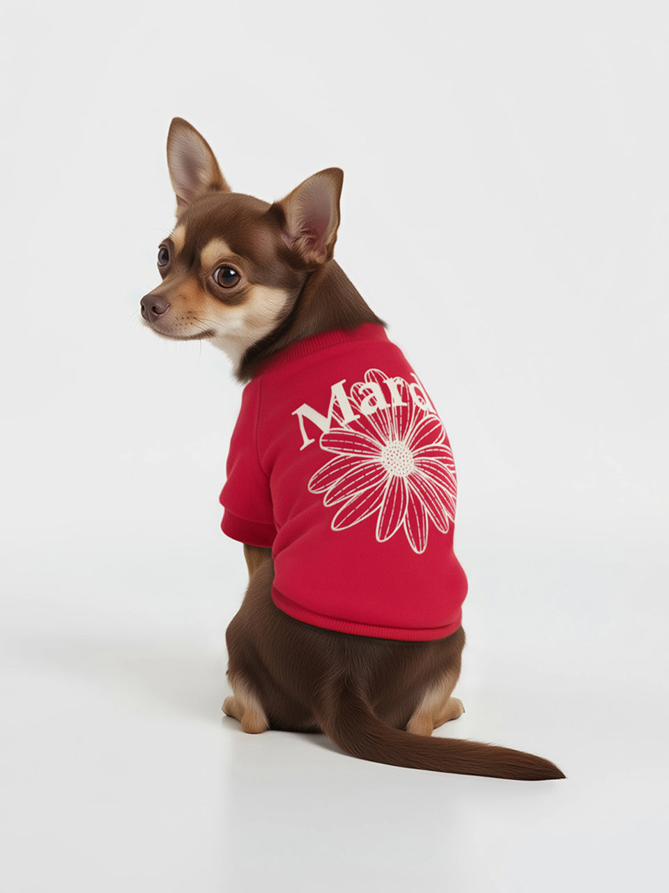 PET SWEATSHIRT FLOWERMARDI_RED IVORY