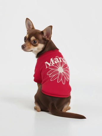 PET SWEATSHIRT FLOWERMARDI_RED IVORY