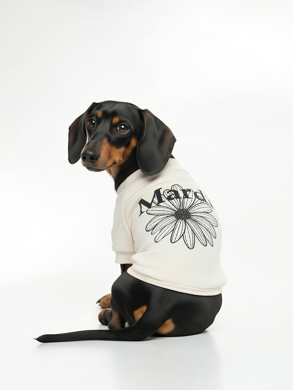 PET SWEATSHIRT FLOWERMARDI_WHITE BLACK