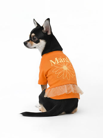 PET TSHIRT FLOWERMARDI FRILL_ORANGE LEMON