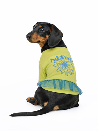 PET TSHIRT FLOWERMARDI FRILL_YELLOW BLUE