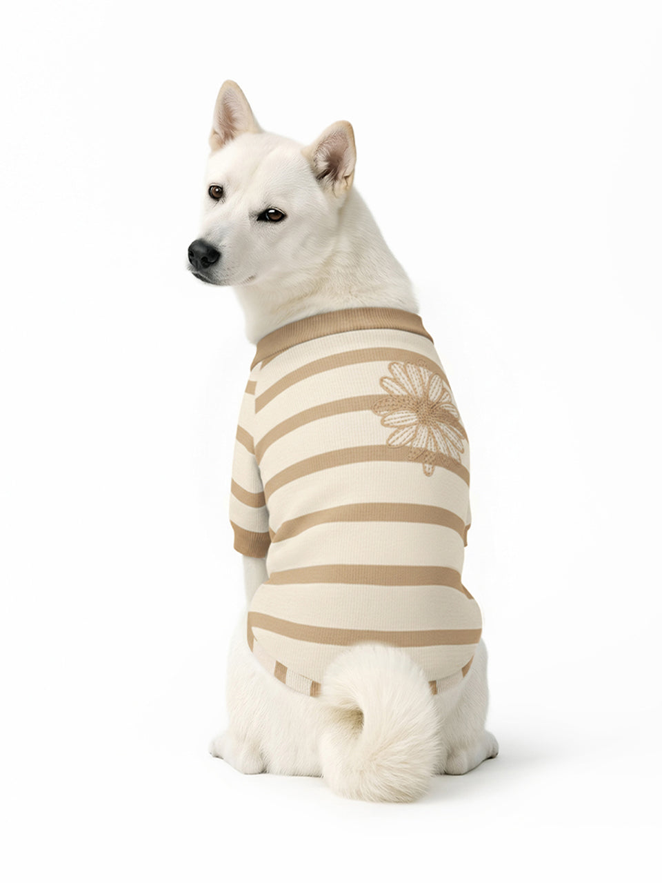 PET TSHIRT STRIPE_BEIGE CHESTNUT
