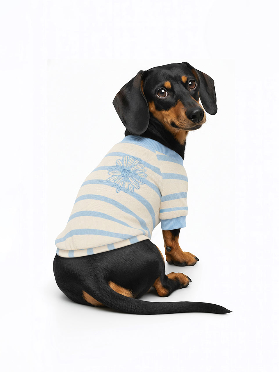 PET TSHIRT STRIPE_BLUE BLUE