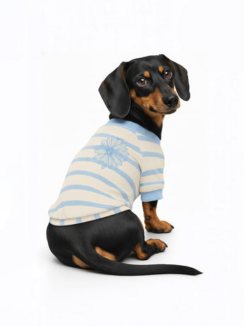 PET TSHIRT STRIPE_BLUE BLUE