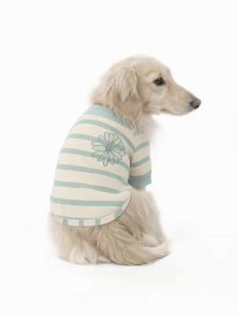 PET TSHIRT STRIPE_MINT MINT